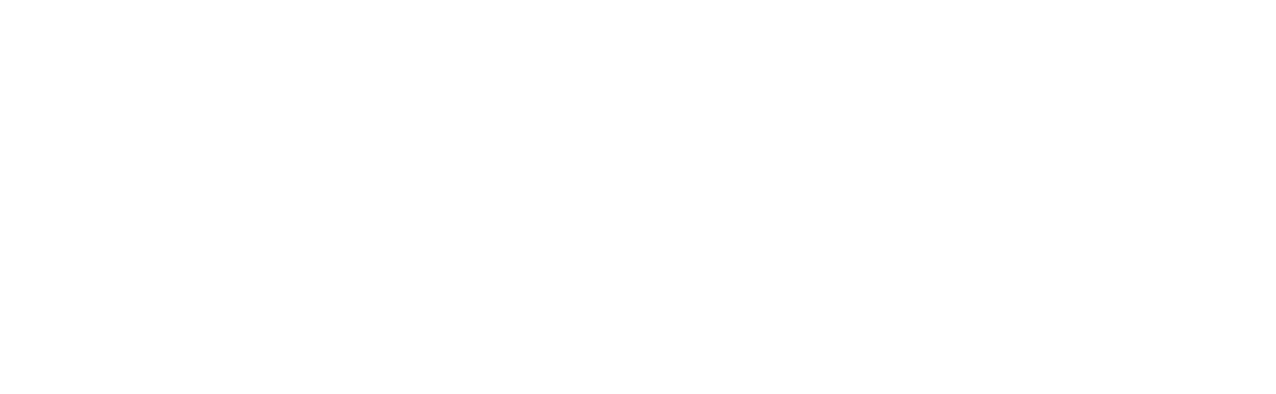 Gelsight_White_logo